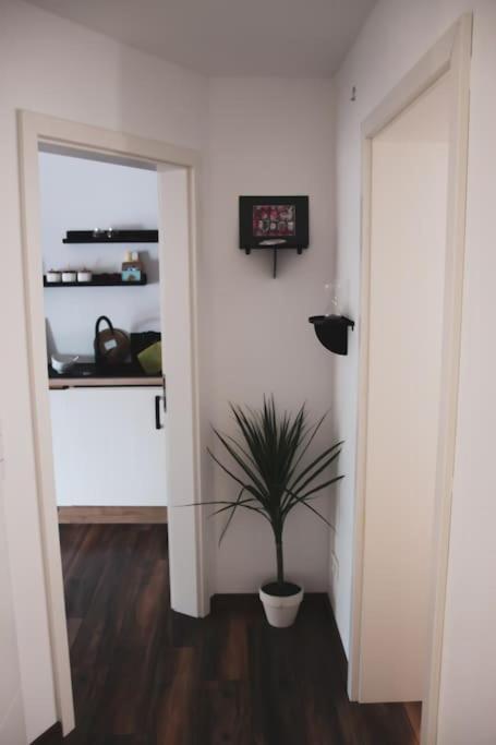 Schoene Wohnung Top Lage Koeln Work & Relax & Travel Frechen Exterior photo